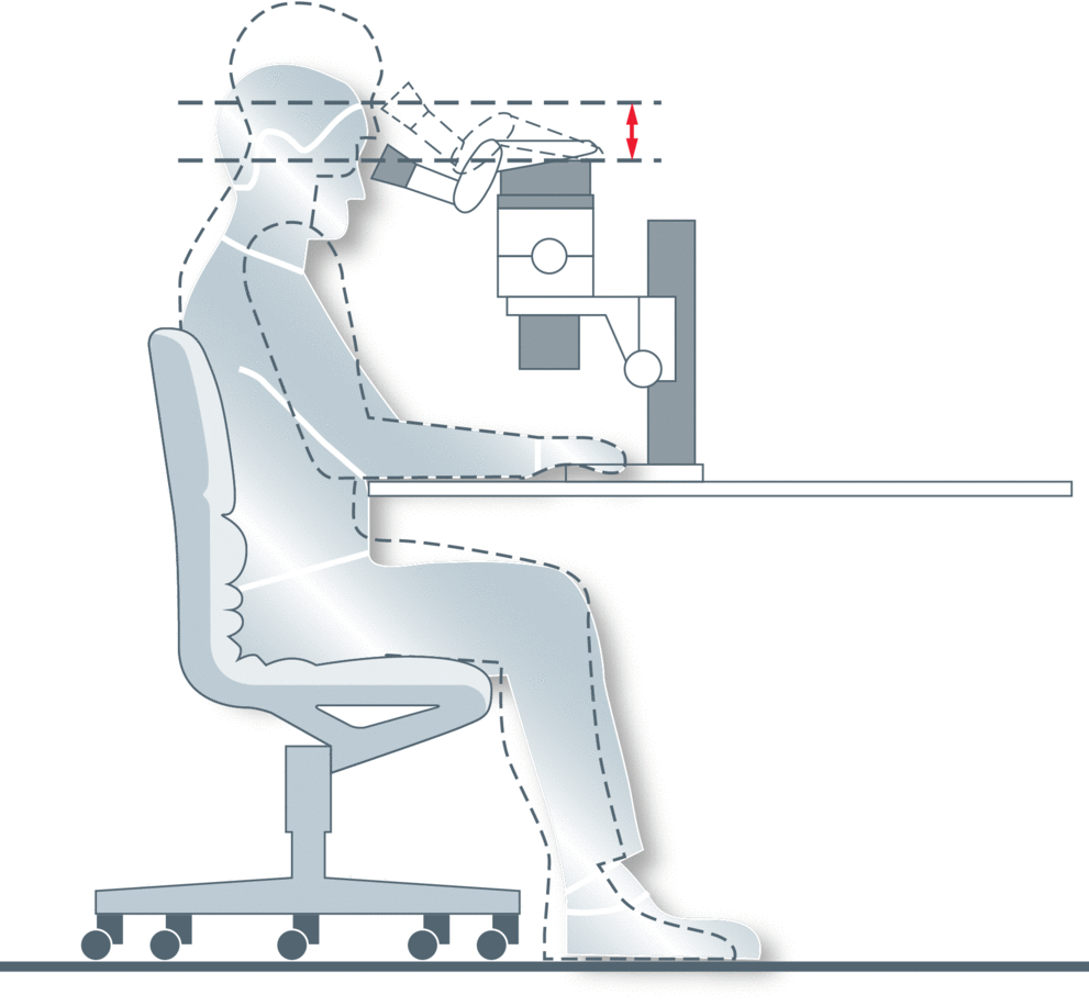 csm_Goeggel_Figure-5_02_0d1fdc42a1