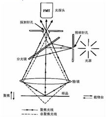 1649834162(1)
